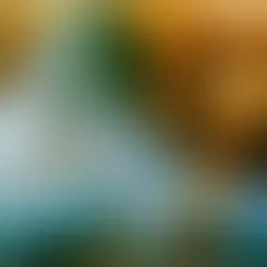 Gmorck